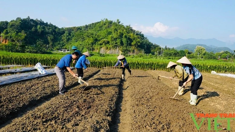Nông dân huyện Bảo Thắng, Lào Cai khắc phục hậu quả thiên tai, chuẩn bị đất gieo vụ mới. Ảnh: Tuấn Hùng