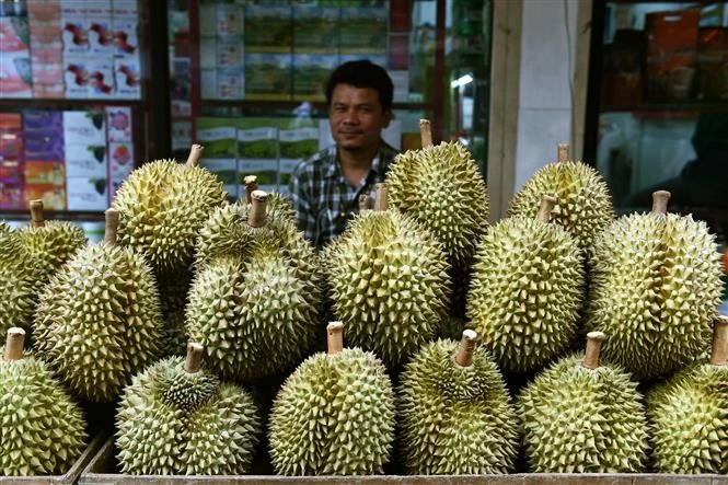 Sầu riêng được bày bán tại Bangkok, Thái Lan. Ảnh: AFP/ TTXVN