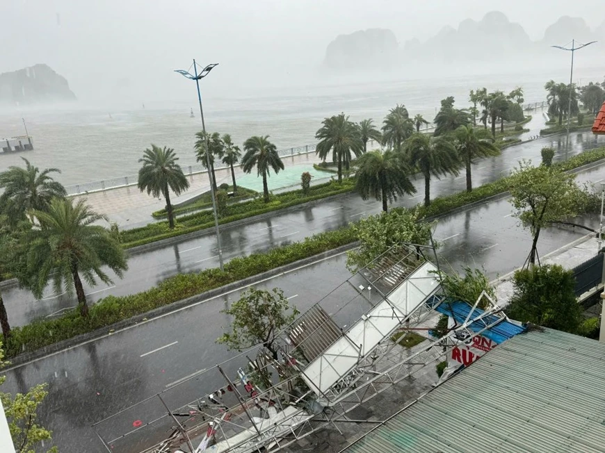 Tại TP Hạ Long, cường độ gió bắt đầu mạnh lên khiến nhiều cây xanh đổ gãy, làm tốc mái tôn của một số đơn vị. Ảnh: Thanh Hà