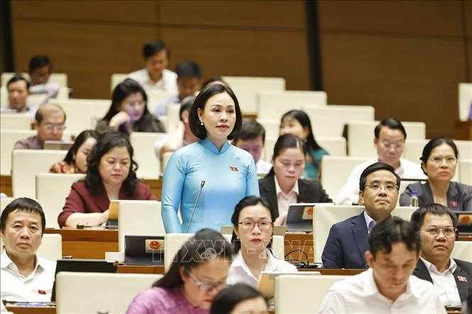 Đại biểu Quốc hội tỉnh Ninh Bình Trần Thị Hồng Thanh phát biểu. Ảnh: Doãn Tấn/TTXVN