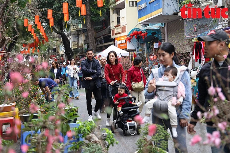 Bắc Bộ chuyển rét đậm.