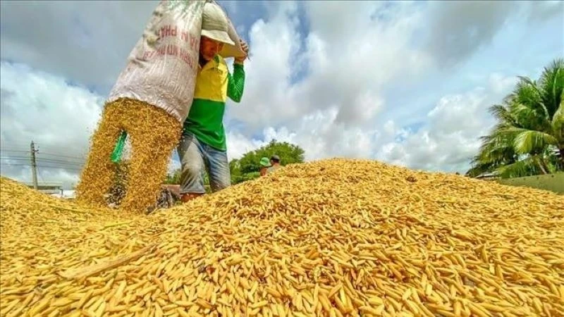 Trong hai tháng đầu năm, tình hình thị trường lúa gạo thế giới có nhiều biến động, theo các chuyên gia nguyên nhân của việc giá gạo giảm đó là có sự mất cân đối cung-cầu trên thị trường thế giới.