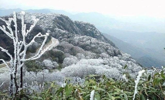 Thời tiết hôm nay (4/2): Không khí lạnh về, miền Bắc rét đậm, có nơi dưới 6 độ C. Ảnh minh họa: Trung tâm Dự báo Khí tượng Thủy văn Quốc gia