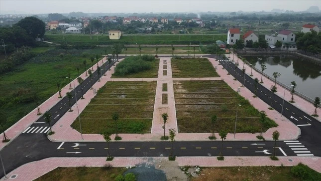 Hiện tượng nhà đầu tư bỏ giá cao rồi bỏ cọc trong các phiên đấu giá đất đang gây ra nhiều vấn đề cho thị trường bất động sản và đời sống xã hội. (Ảnh: Nguyễn Hùng)