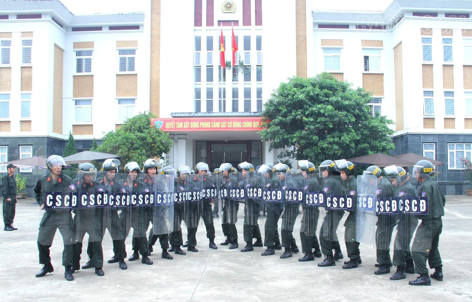 c2.jpg
