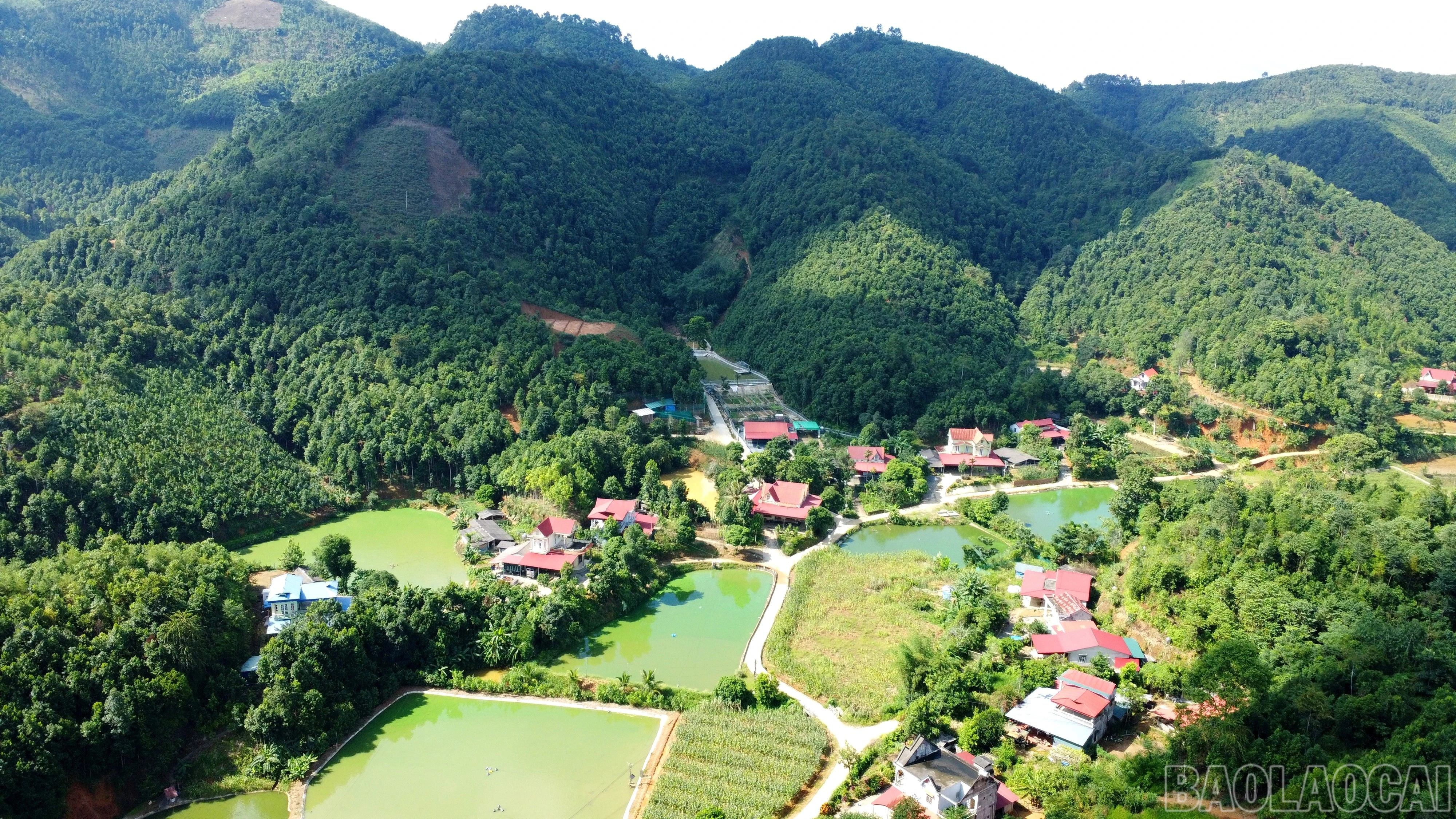 baolaocai-br_img-20251029-081414.jpg
