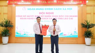 Trao quyết định bổ nhiệm Giám đốc Ngân hàng CSXH Chi nhánh tỉnh Lào Cai