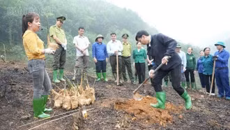 Việt Hồng hướng tới mục tiêu tăng trưởng kinh tế gắn với giảm nghèo bền vững