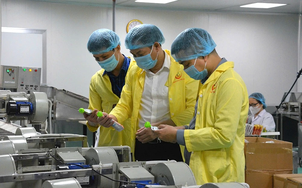 Yên Bái: Thương hiệu và hành trình định vị giá trị ảnh 1