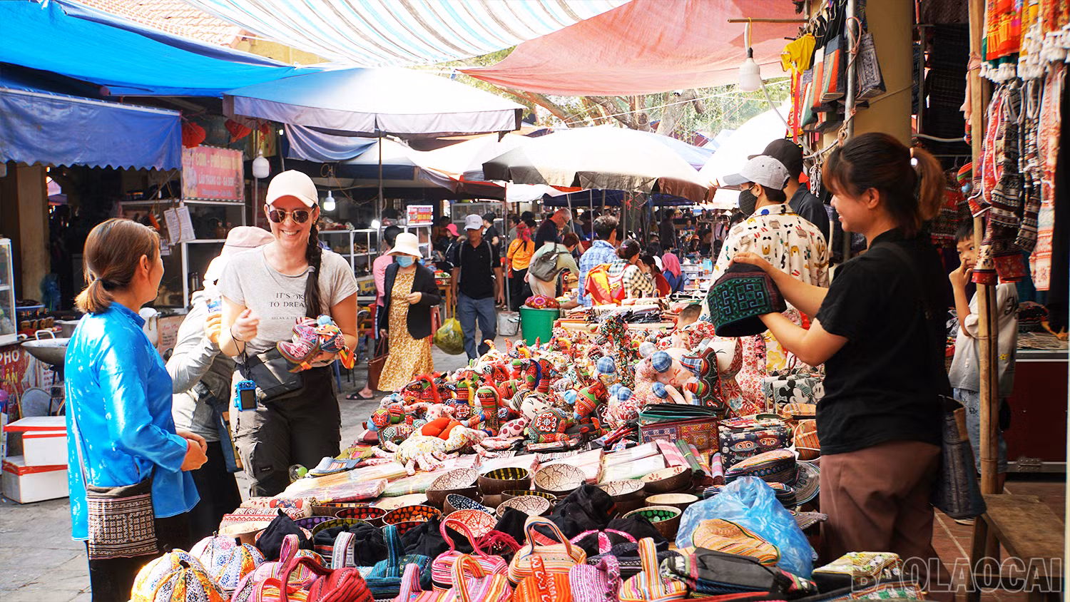 baolaocai-br_img-7206.png