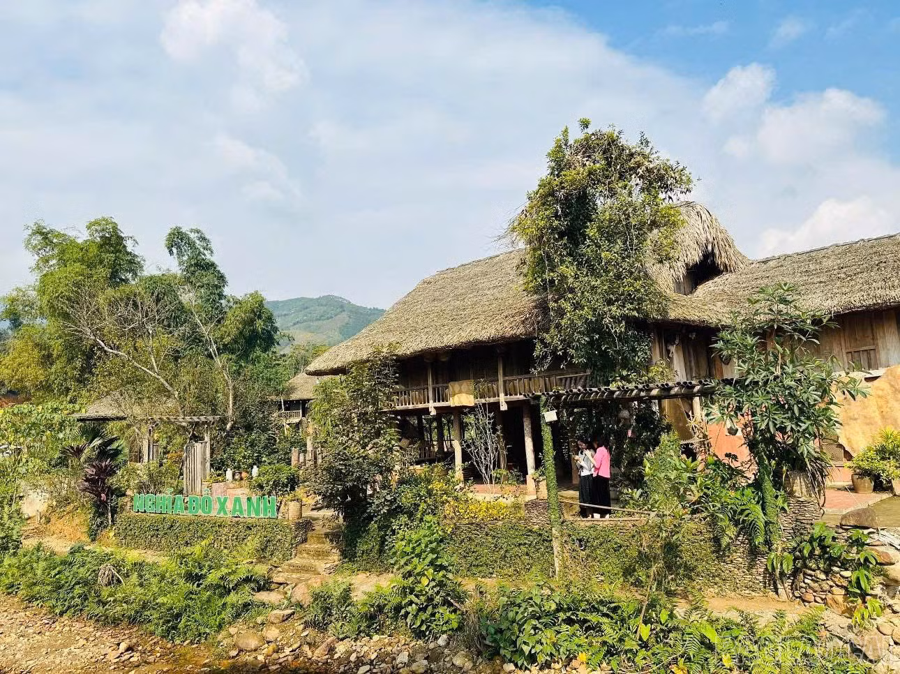 baolaocai-br_img-8766.jpg