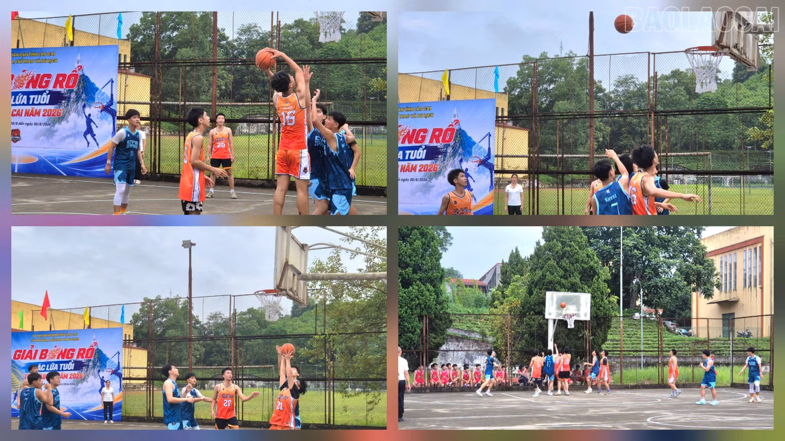 baolaocai-tr_1787882025414-1766308288443204543-5694511098469224762-f33b88e5f20d72736135c81c9f1a6632-5392.jpg
