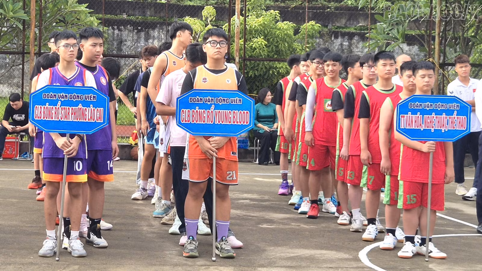 baolaocai-tr_1787880750175-1766308288443204543-5694511098469224762-fb0f16233f8646fe041ac24506f048b9-1990.jpg
