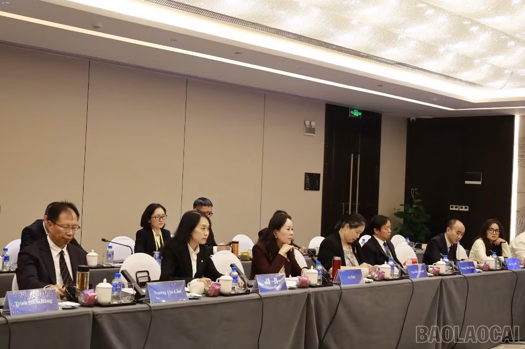 baolaocai-br_img-6086.jpg