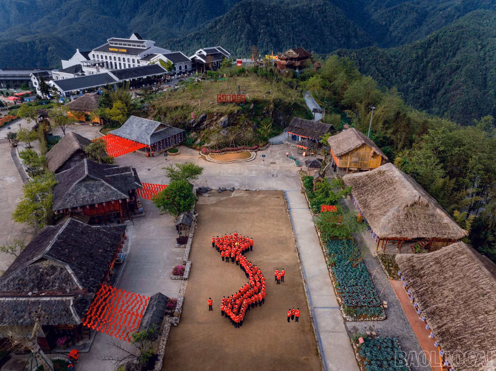 baolaocai-br_088f1cc0e0d852860bc9-1.jpg
