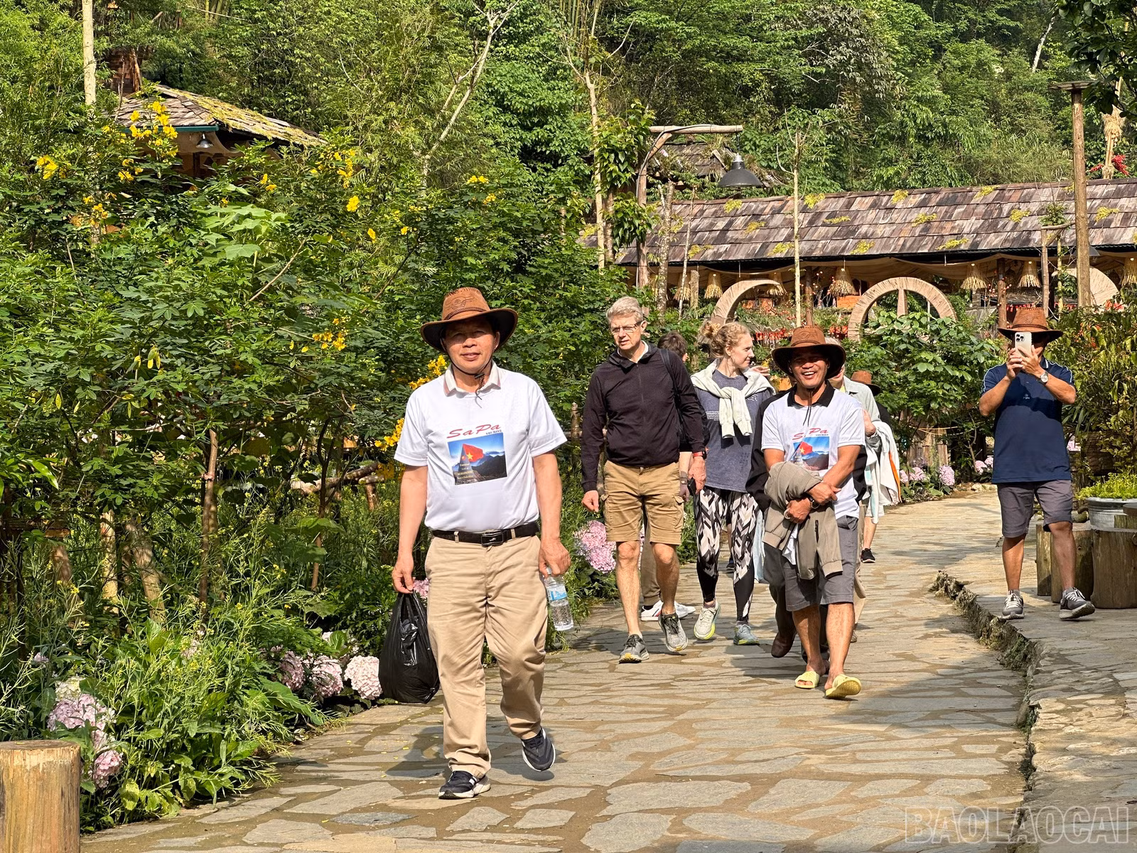 baolaocai-br_f1c7fe610779b527ec68.jpg