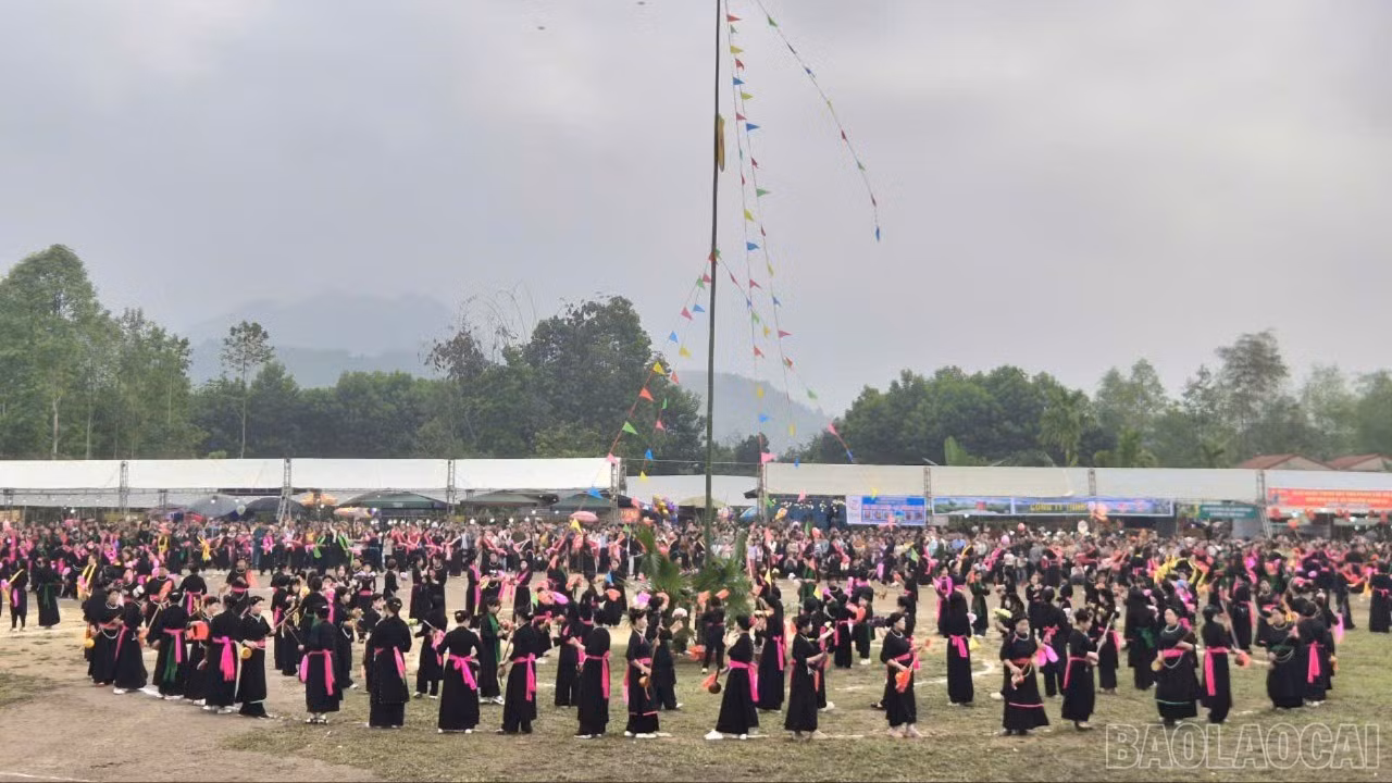 baolaocai-br_xoe-5966.jpg