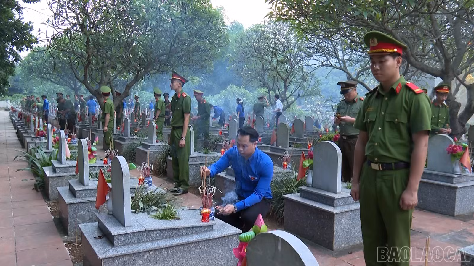 baolaocai-br_4.png