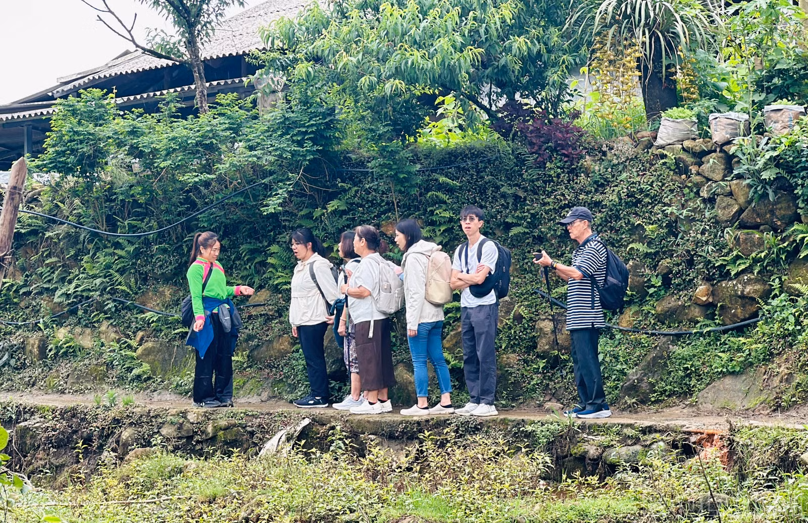 baolaocai-br_img-7394.jpg