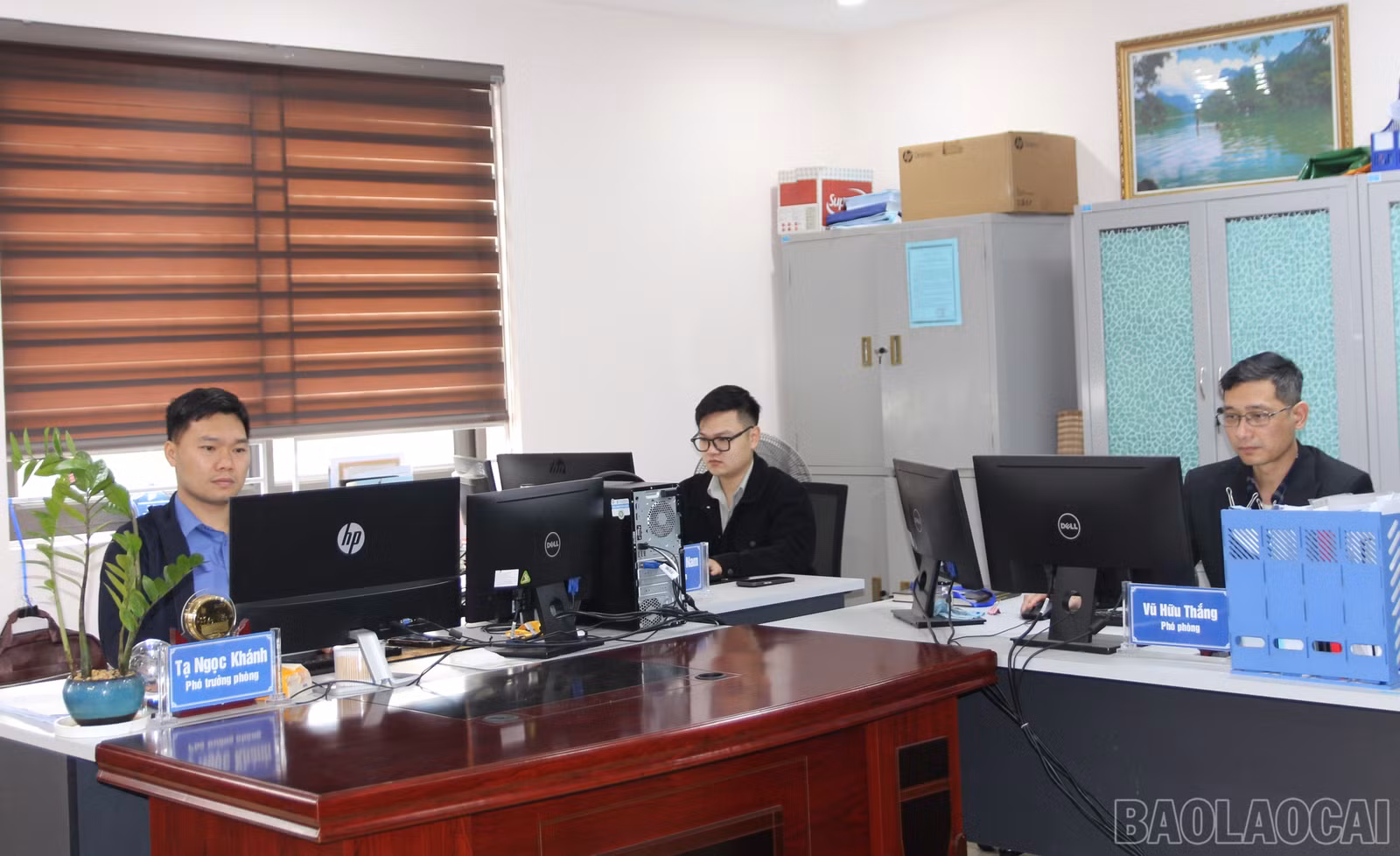 baolaocai-br_img-9814.jpg