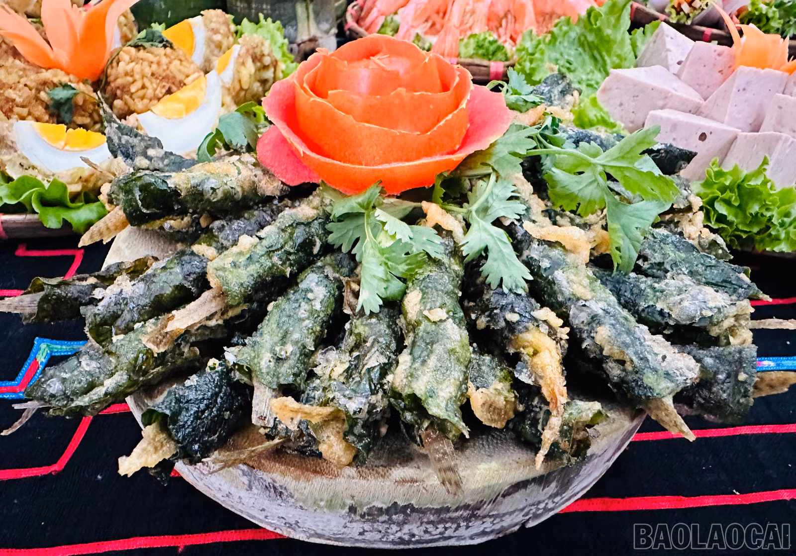 baolaocai-br_img-7394.jpg