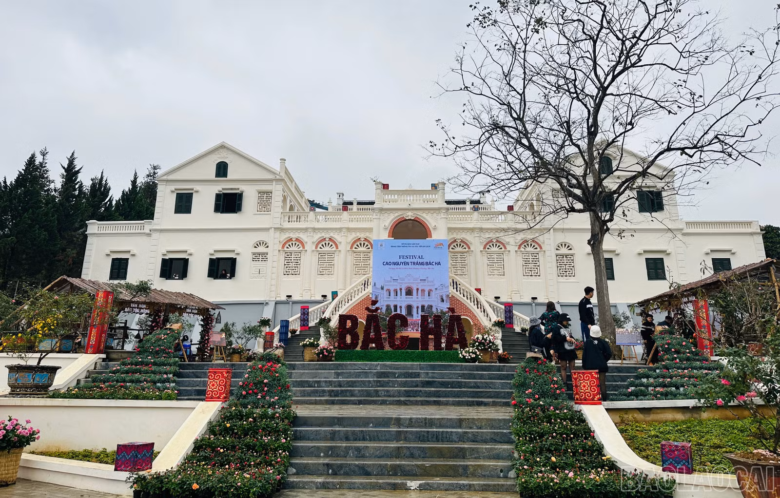 baolaocai-br_img-7372.jpg