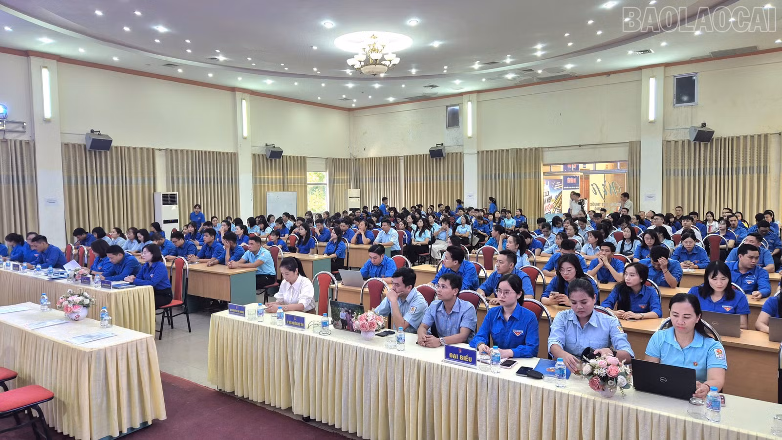 baolaocai-tr_quang-canh-hoi-nghi-2453.jpg