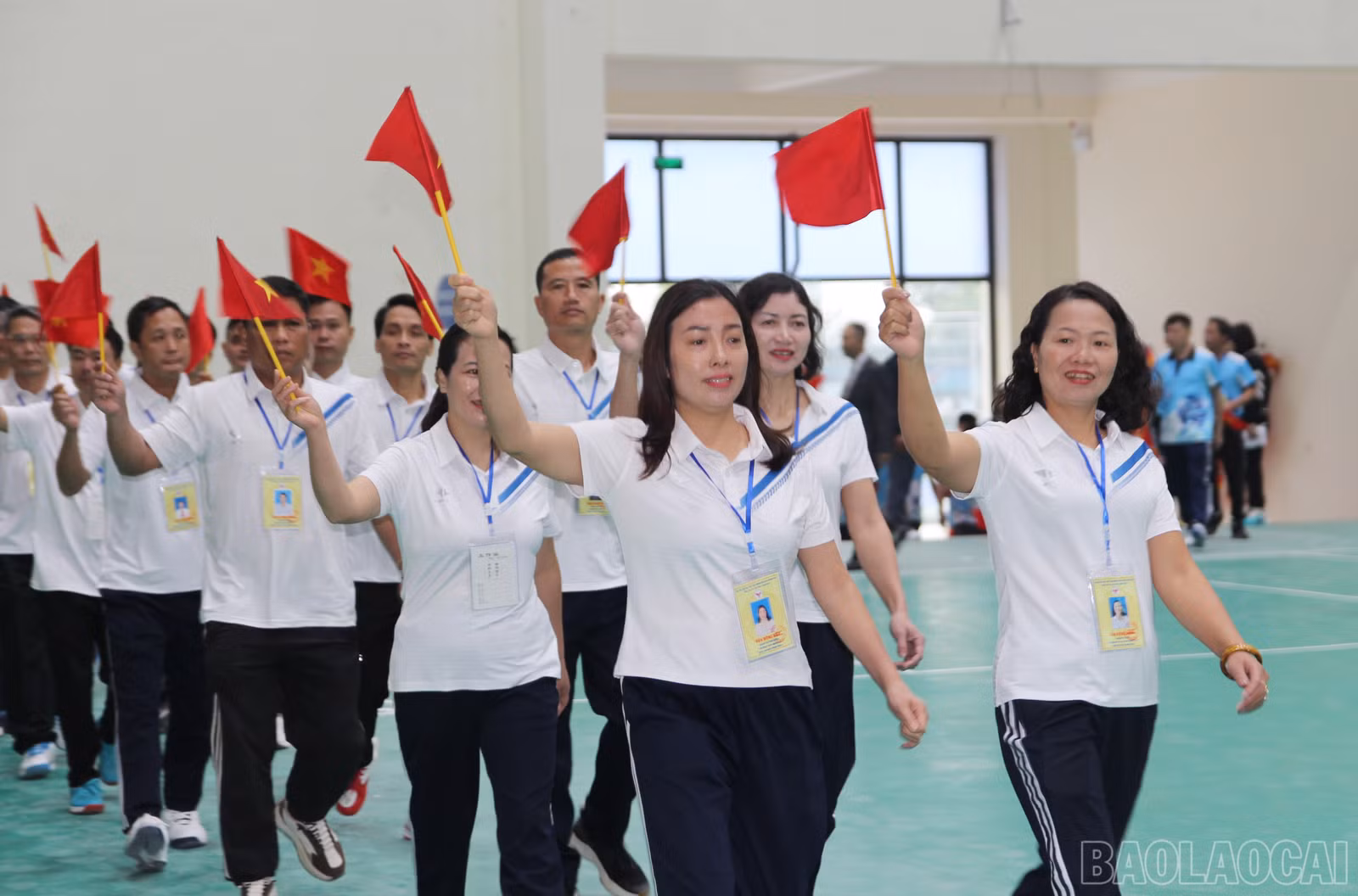 baolaocai-br_9.jpg