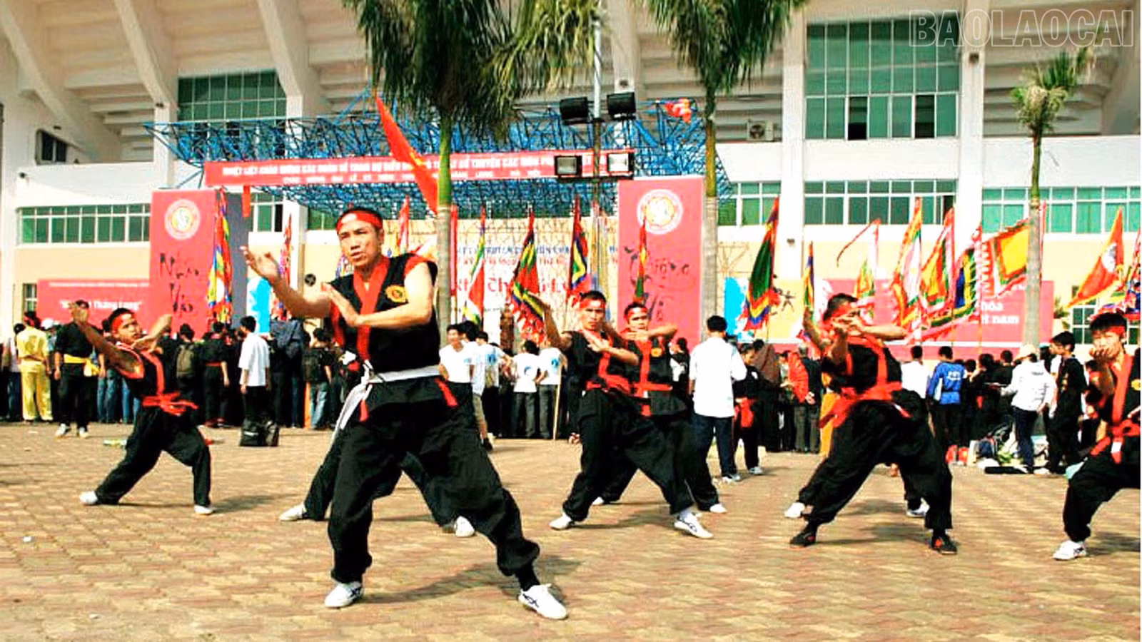 baolaocai-tr_2f-8922.jpg