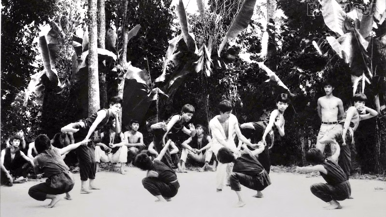 baolaocai-tr_anh-nam-88-bd-1321.jpg