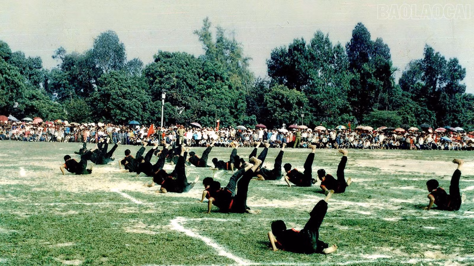 baolaocai-tr_8-9166.jpg