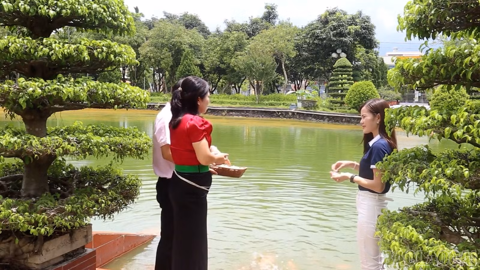 Ao cá Bác Hồ.