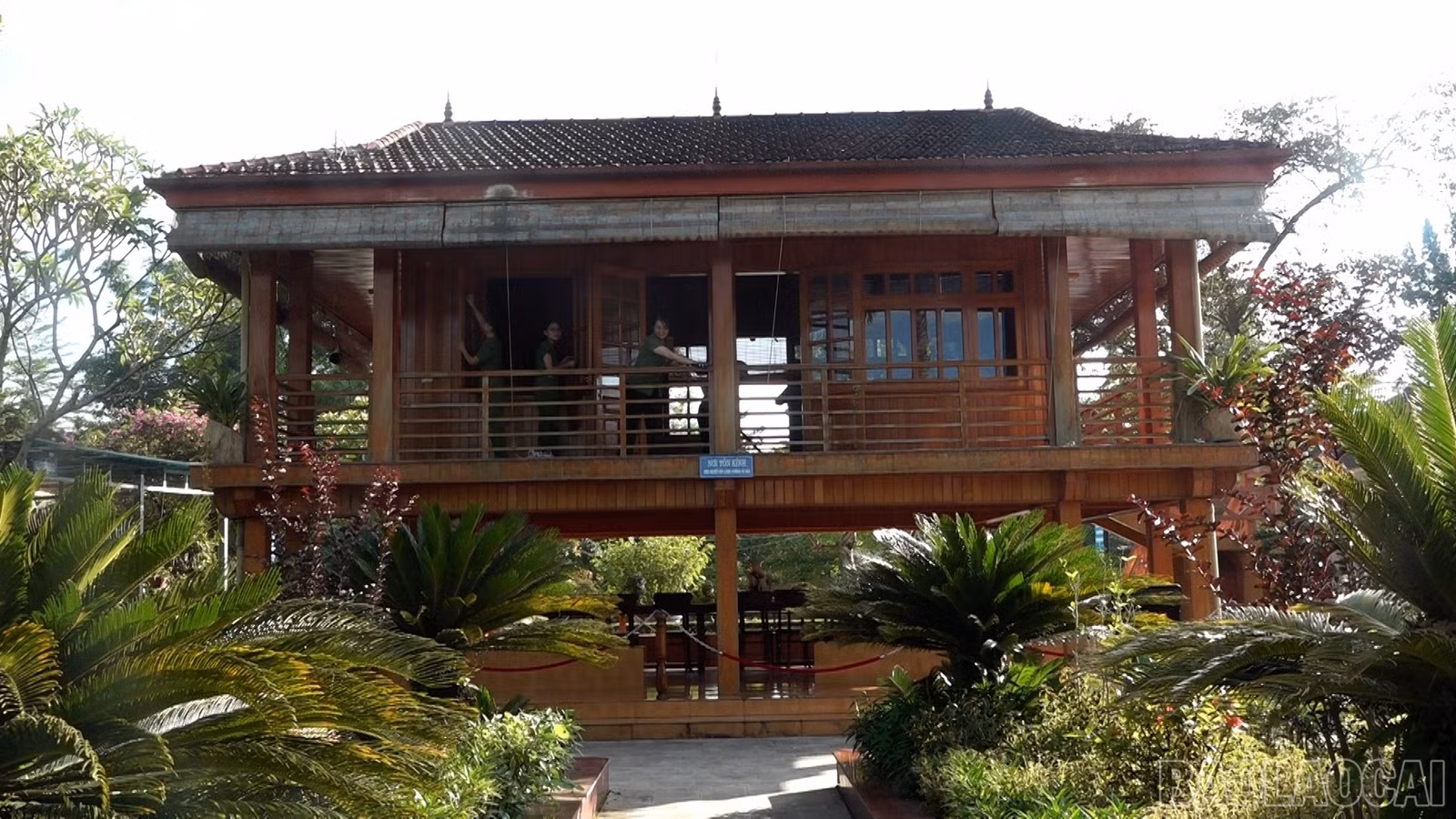 baolaocai-br_7.jpg