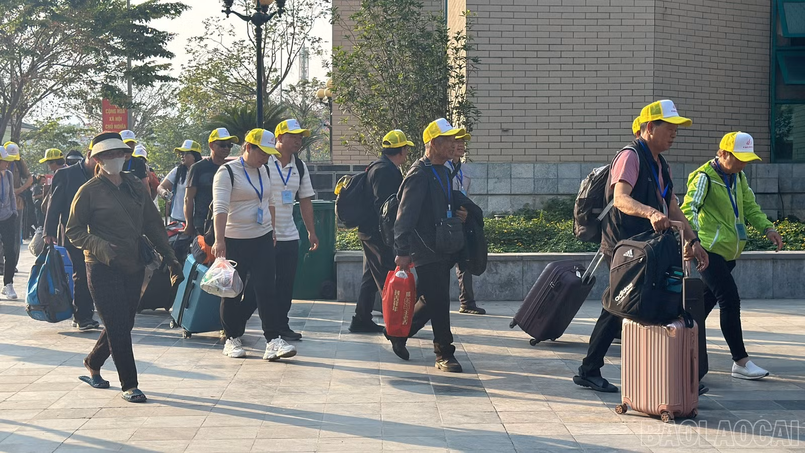 baolaocai-br_508fdc06f7ad4cf315bc.jpg