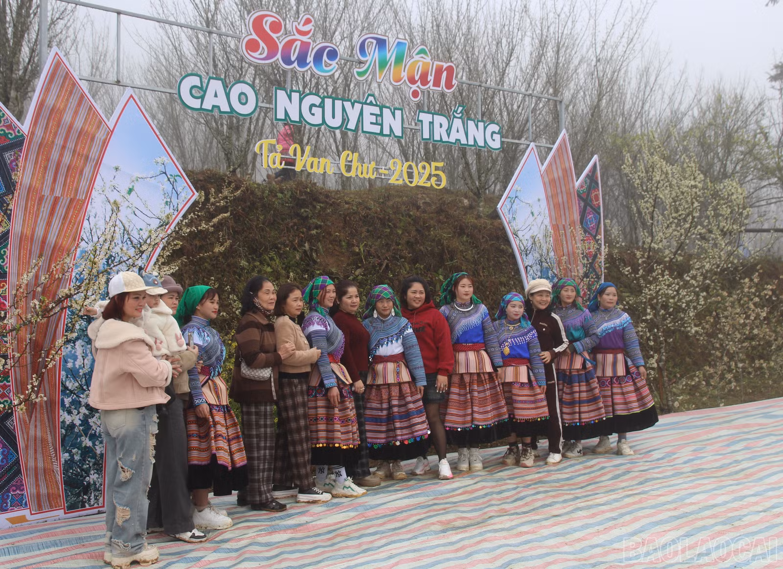 baolaocai-br_img-9576.jpg