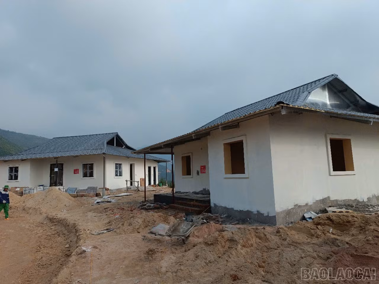 baolaocai-br_img-7050.jpg