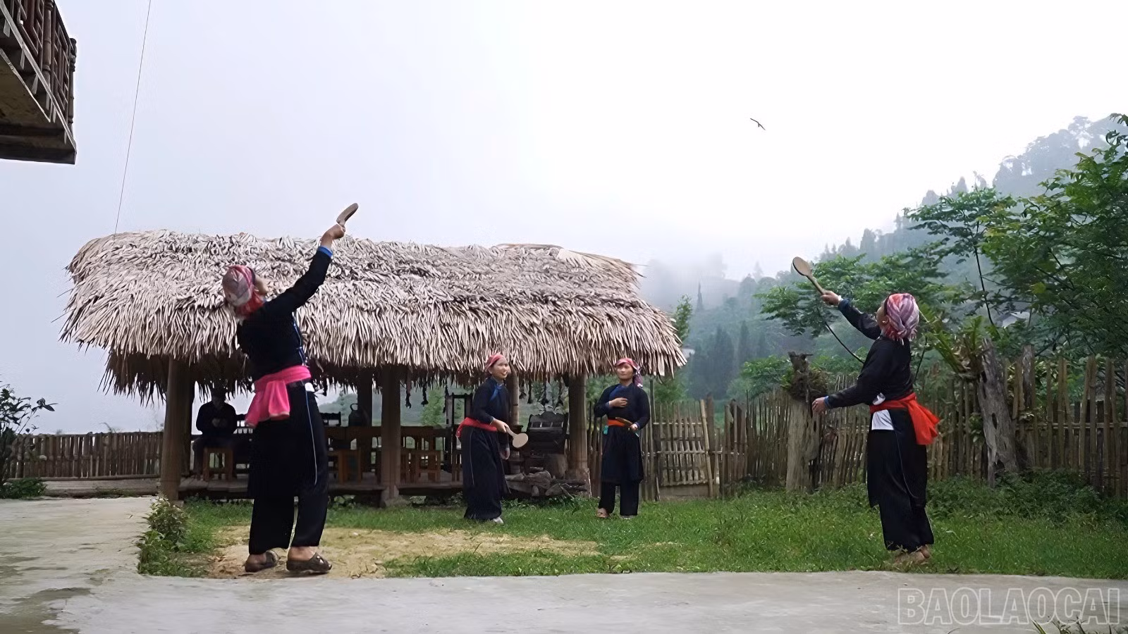 baolaocai-br_tung-7.jpg