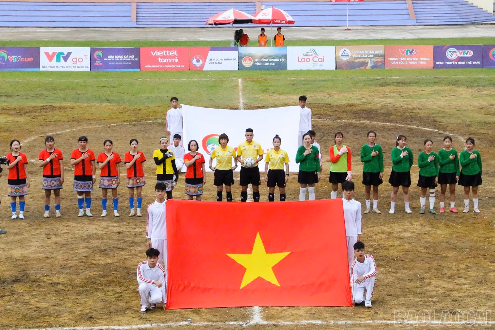 baolaocai-br_tr21.jpg