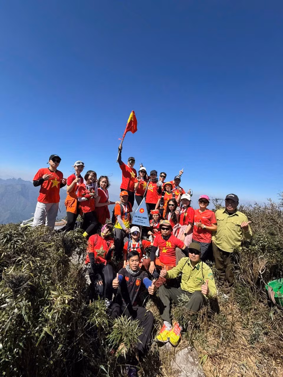 baolaocai-br_a-1.jpg