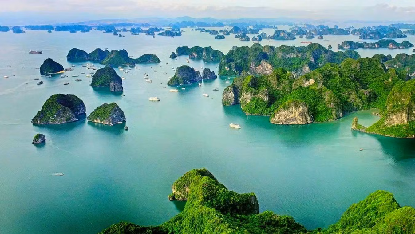 img-0855-7662.webp