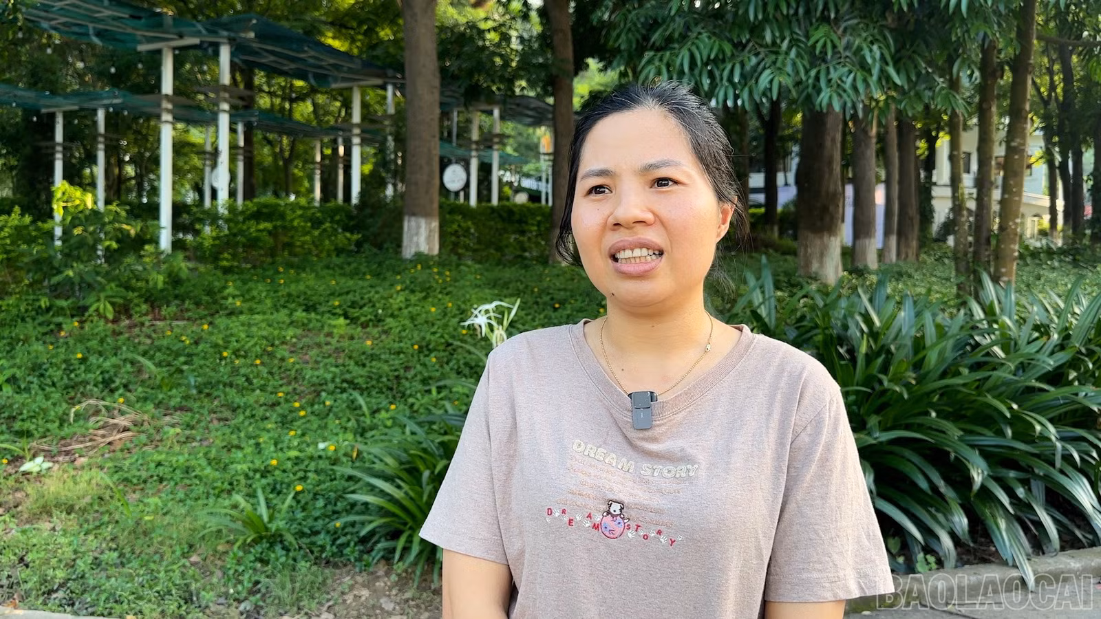 baolaocai-br_2-1123.jpg