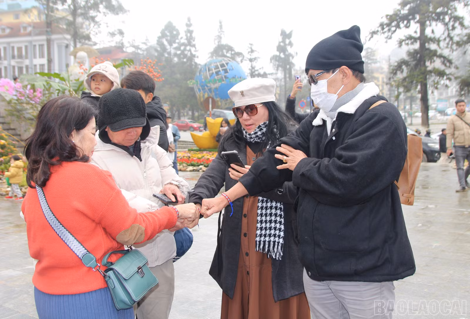 baolaocai-br_img-8709.jpg