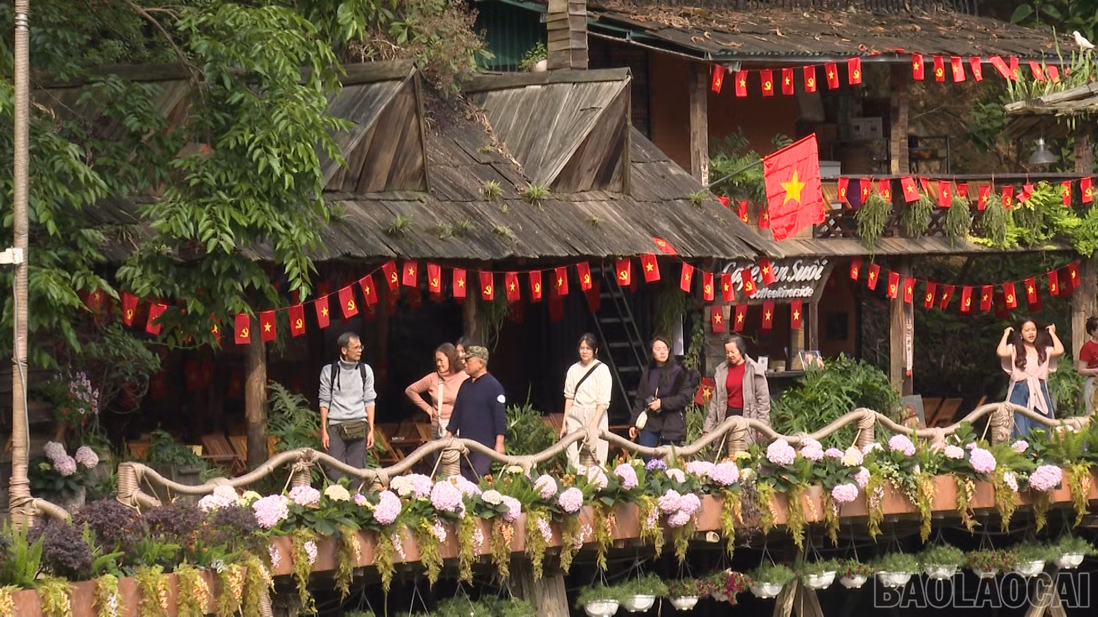 baolaocai-br_1.png