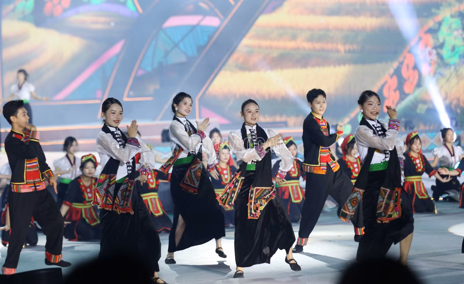 baolaocai-c_9-2168.jpg