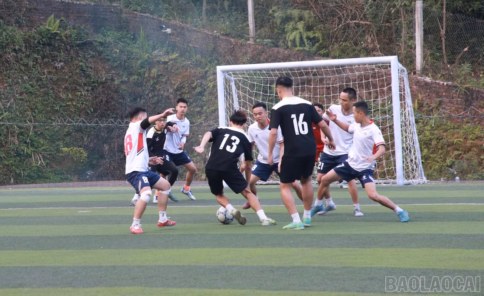 baolaocai-br_img-5421.jpg