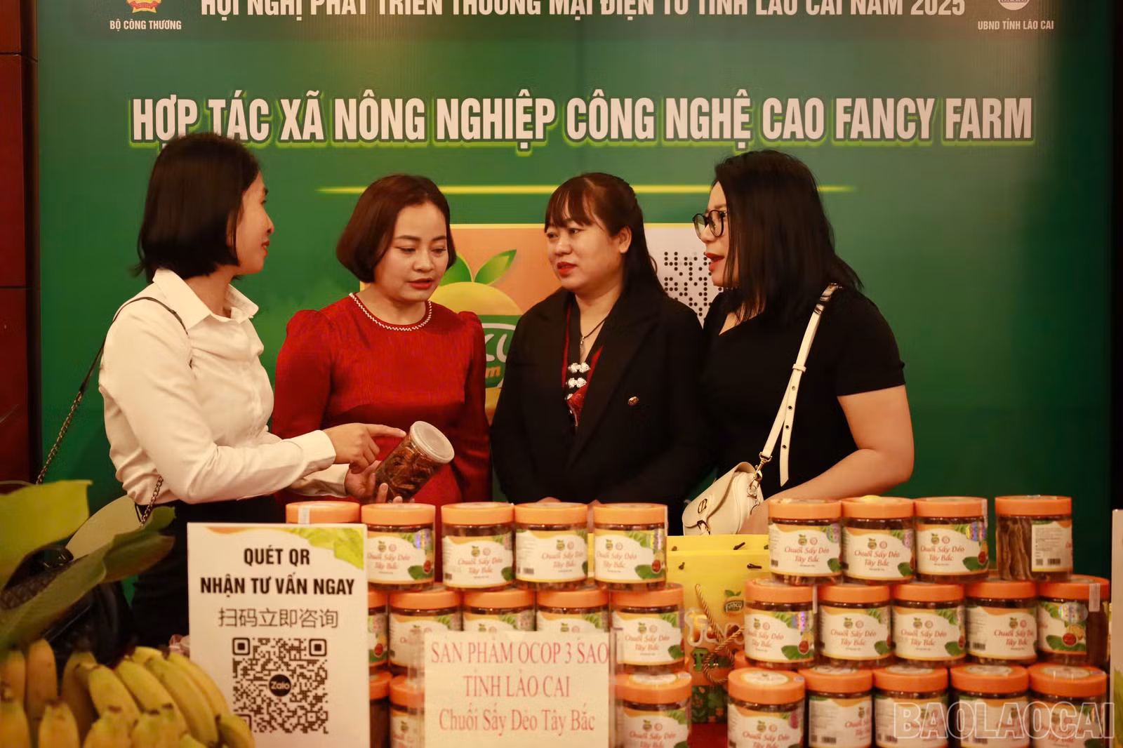 baolaocai-br_89f22d93176fa631ff7e1.jpg