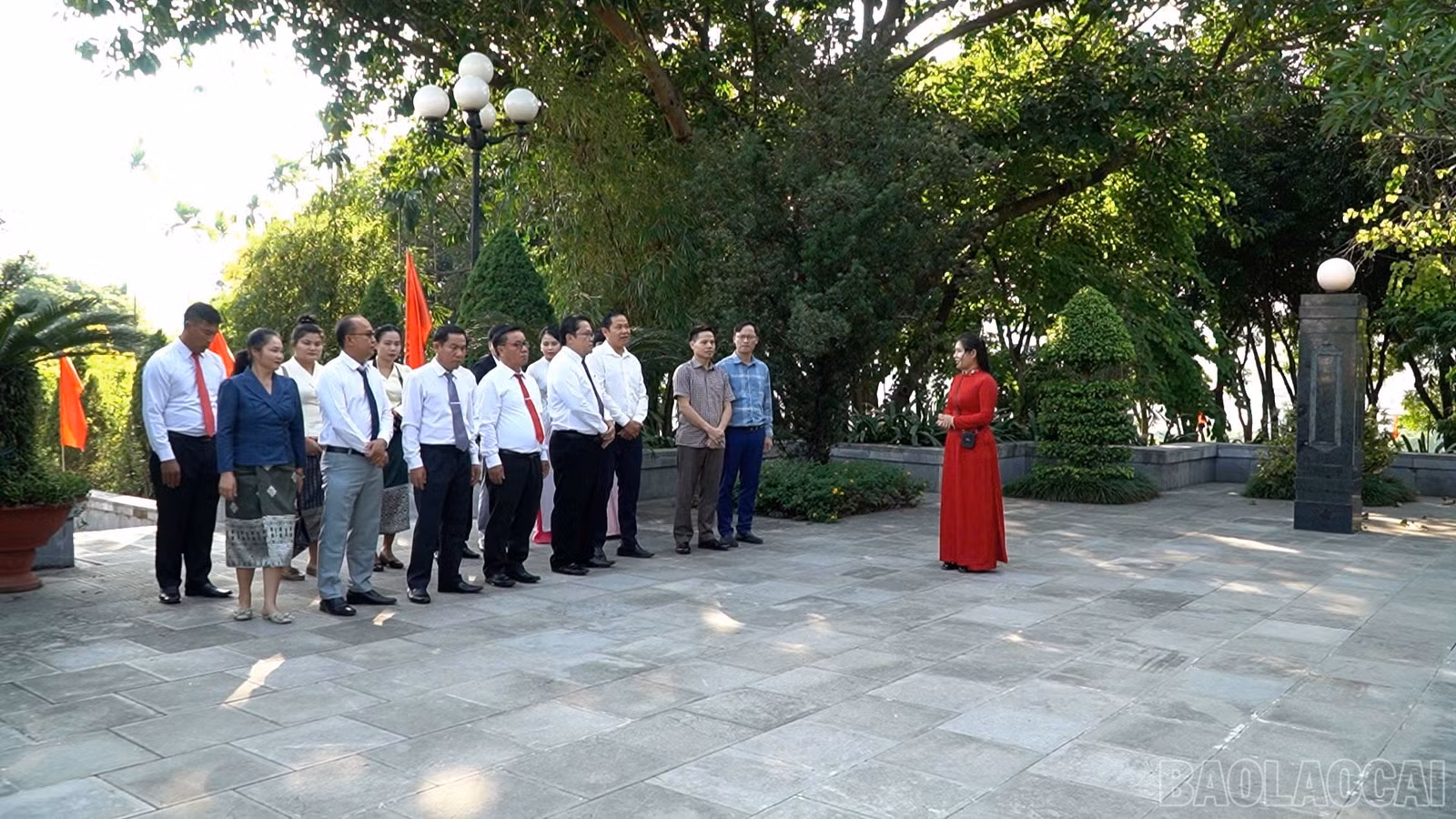 baolaocai-br_img-5556.jpg