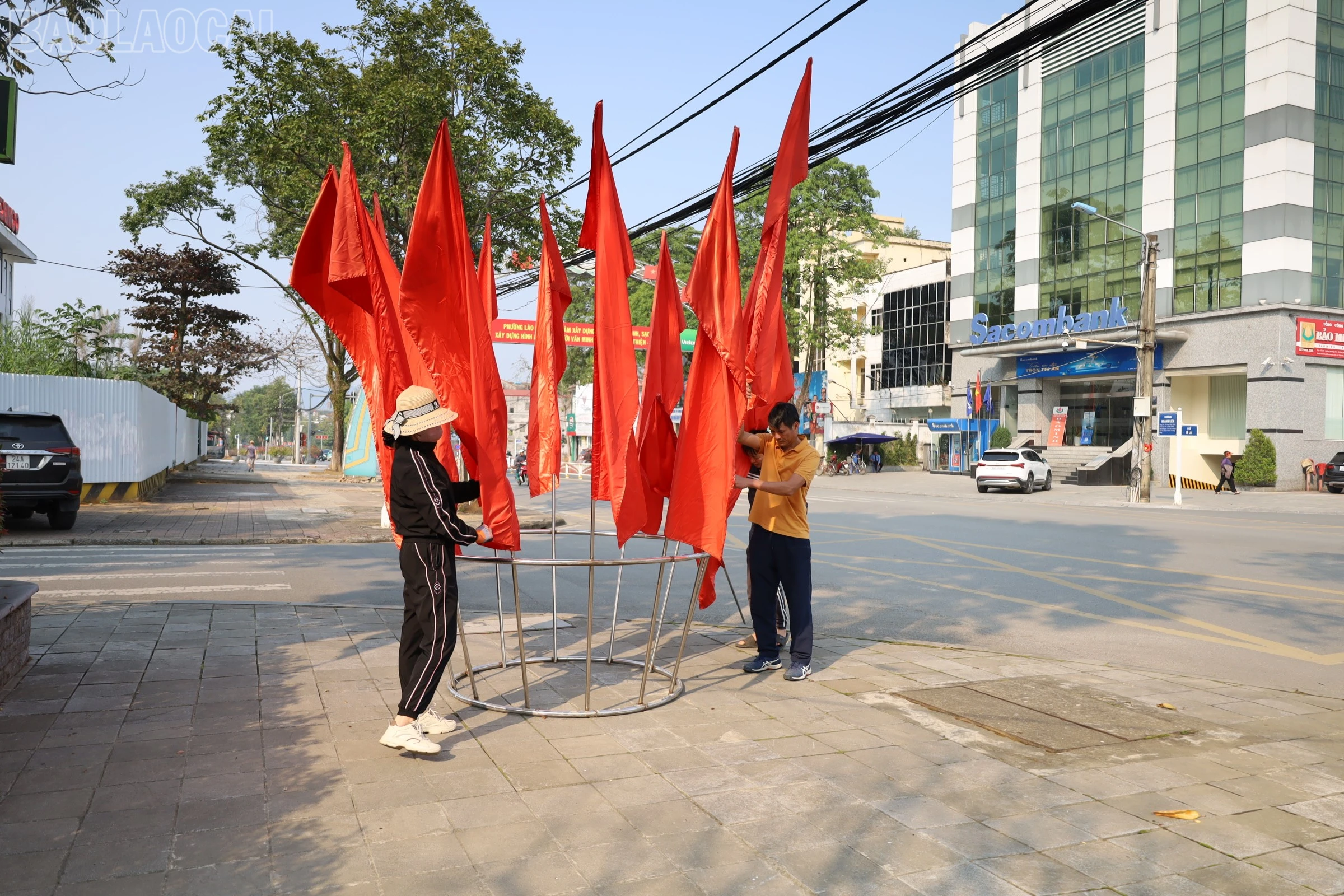 baolaocai-tl_img-2154.jpg