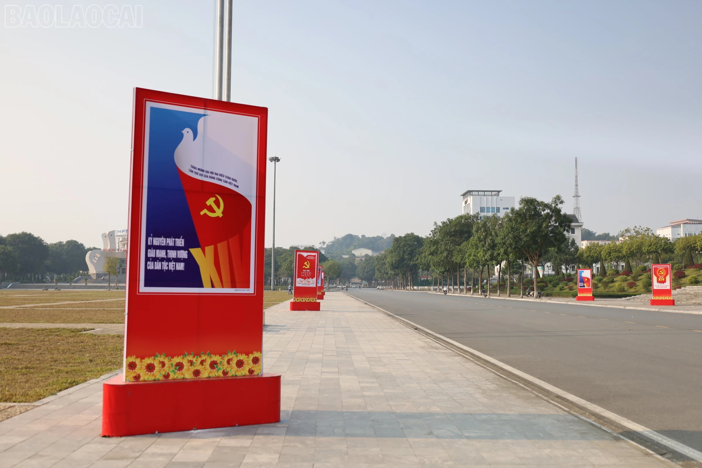 baolaocai-tl_img-2168.jpg