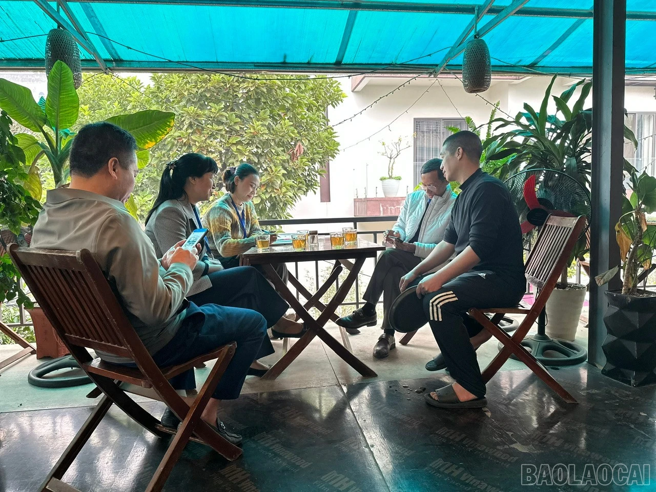 baolaocai-br_z7435783584420-692f299af50375e0400e15885abf1d9c.jpg